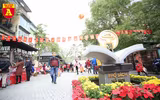 Nhộn nhịp Phố sách Xuân Canh Tý 2020